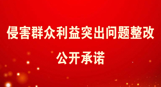 侵害群众利益突出问题整改公开承诺